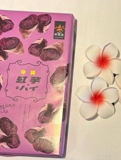 오키나와 히노데 리조트 앤 핫스프링 아기랑 숙소 추천