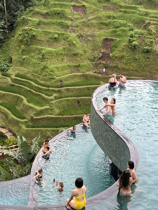 【タクシーで1日満喫！ウブドののんびり贅沢旅🌿🚗】
