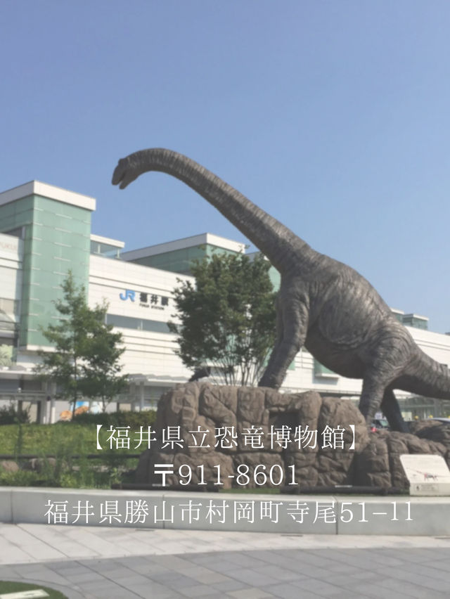 夏休みにも！こどもから大人まで楽しめる【福井県立恐竜博物館】🦖