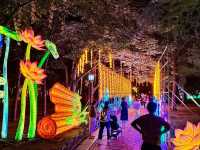 🤩 Qingdao's Zhongshan Park: A Magical Summer Night Lantern Fair! ✨