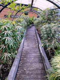 Secret Garden - Hidden Floral Paradise Above the Mall