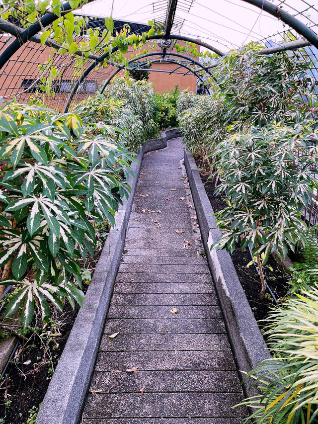 Secret Garden - Hidden Floral Paradise Above the Mall