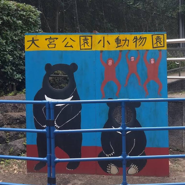 【埼玉/大宮🇯🇵】本当に無料でいいんですか…？！大宮公園小動物園