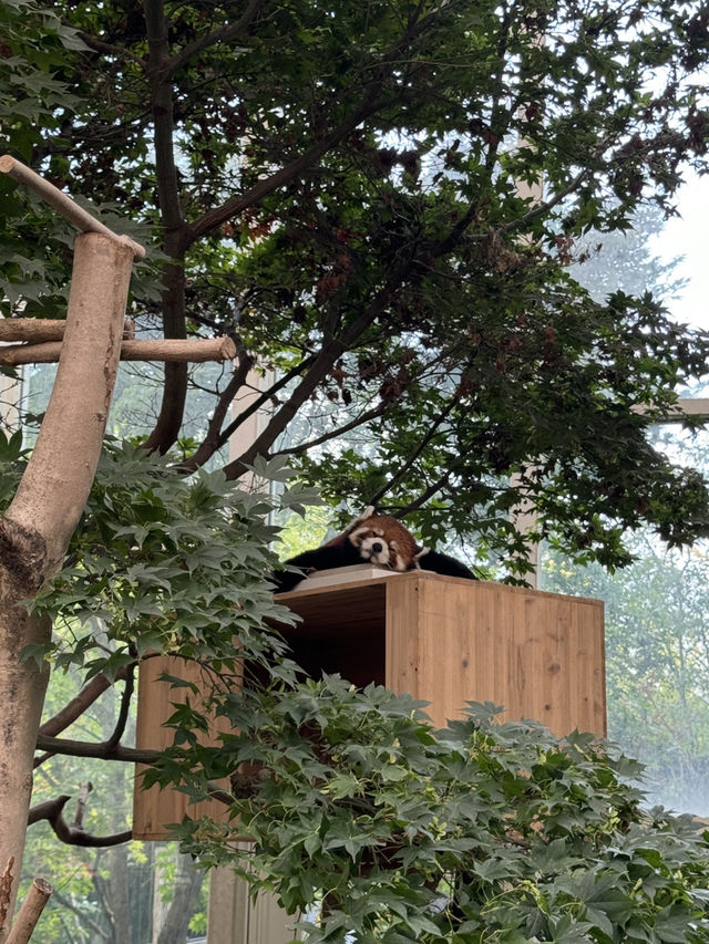 ๊ณ์ ์ด ๋ด๊ธด ์๋ฆ๋ค์ด ์ ์ & ํธ์๋ฏธ์ ๊ด & ๊ท์ฌ์ด ํ๋ค๋ฅผ ๋ณผ ์ ์๋ ์ฉ์ธ ์๋ฒ๋๋ ํ๋ค์๋ ๊ณ์ ์ด ๋ด๊ธด ์๋ฆ๋ค์ด ์ ์ & ํธ์๋ฏธ์ ๊ด & ๊ท์ฌ์ด ํ๋ค๋ฅผ ๋ณผ ์ ์๋ ์ฉ์ธ ์๋ฒ๋๋ ํ๋ค์๋