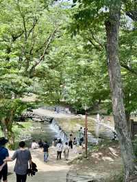 세계문화유산 천년고찰 <마곡사> 에서 역사를 느껴보세요. 