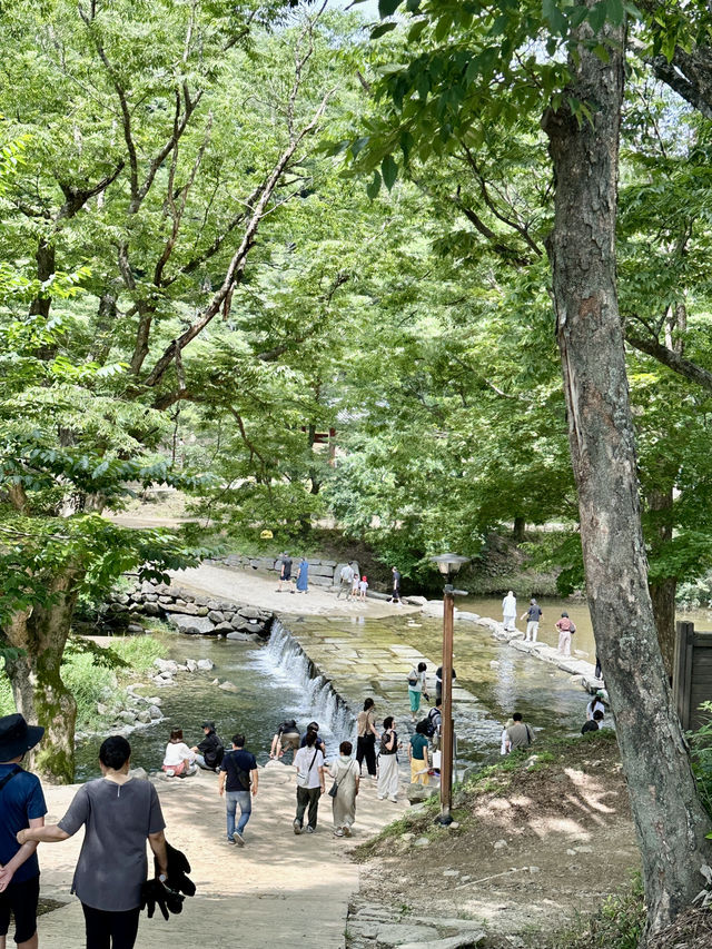 세계문화유산 천년고찰 <마곡사> 에서 역사를 느껴보세요. 