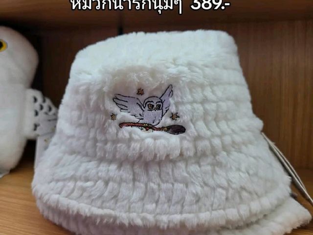 สาวก Harry Potter ห้ามพลาด !! 