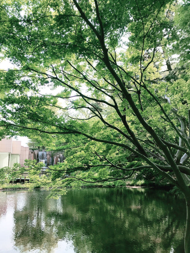💧🏞️水と音がつなぐ非日常──品川・御殿山庭園の滝散歩 💧🏞️水と音がつなぐ非日常──品川・御殿山庭園の滝散歩