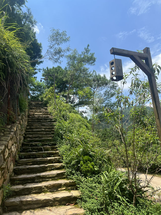 L’UM Coffee Hill (Đồi Llum)