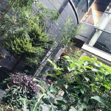 🇱🇮Elegant and aristocratic beauty—The treasure of the Liechtenstein family shines again at Bunkamura in Shibuya Archive