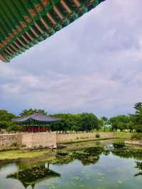 ✨경주 감성여행 코스 추천: 보문사·첨성대·동궁과 월지✨