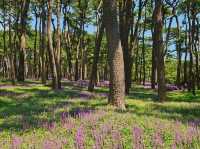 The day is nice for a stroll at Daewangam at Ulsan