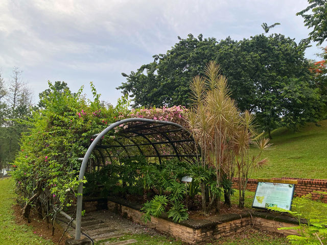 Bougainvilaa Trail Putrajaya – A Colorful Escape for Nature Lovers