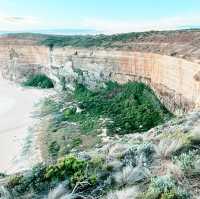 お一人向けグレートオーシャンロード（Great Ocean Road）の日帰りツアー比較