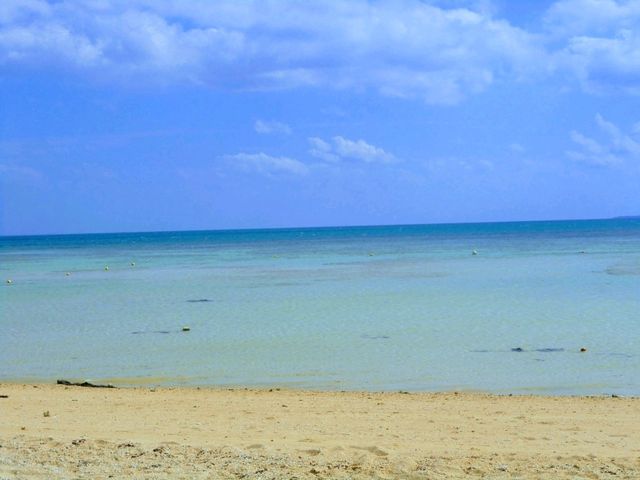 小浜島と西表島で海満喫旅
