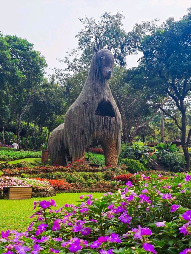 📍 ครัวตำหนัก ดอยตุง จ.เชียงราย 🌿✨