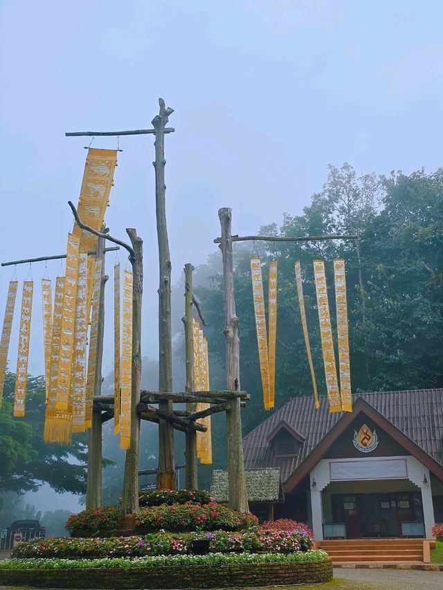 📍 ครัวตำหนัก ดอยตุง จ.เชียงราย 🌿✨