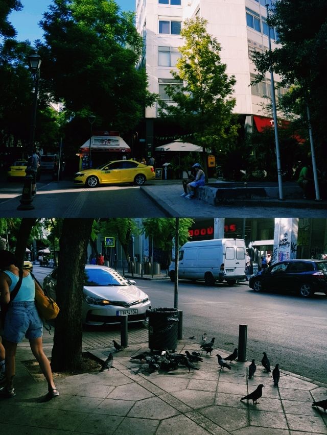 아테네 여행, 광장에서 마주한 일상의 풍경