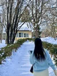 ❄️ 겨울 비에이 투어 – 눈과 자연의 향연