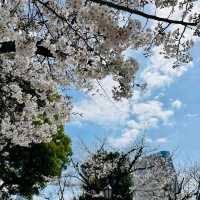 Sumida Park
