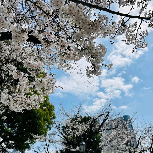 Sumida Park