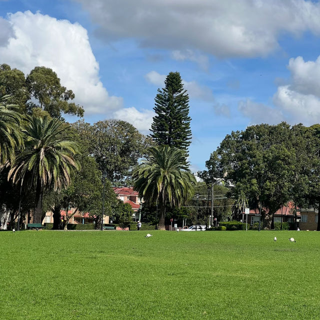 金禧公園:城市中的綠意小天堂 🍃🌼 金禧公園:城市中的綠意小天堂 🍃🌼