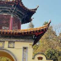 Living Couplet of Nature and Heritage