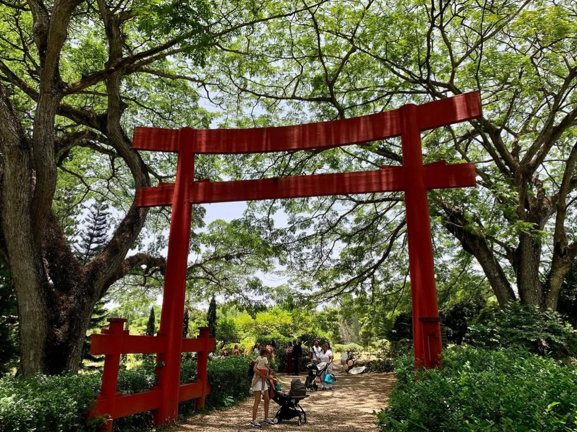 【Dominican Republic】Jardín Botánico
