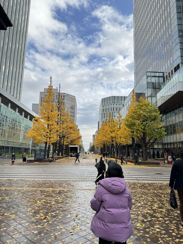 🍁 ฮอกไกโด Autumn Shock 🍁 ฮอกไกโด Autumn Shock