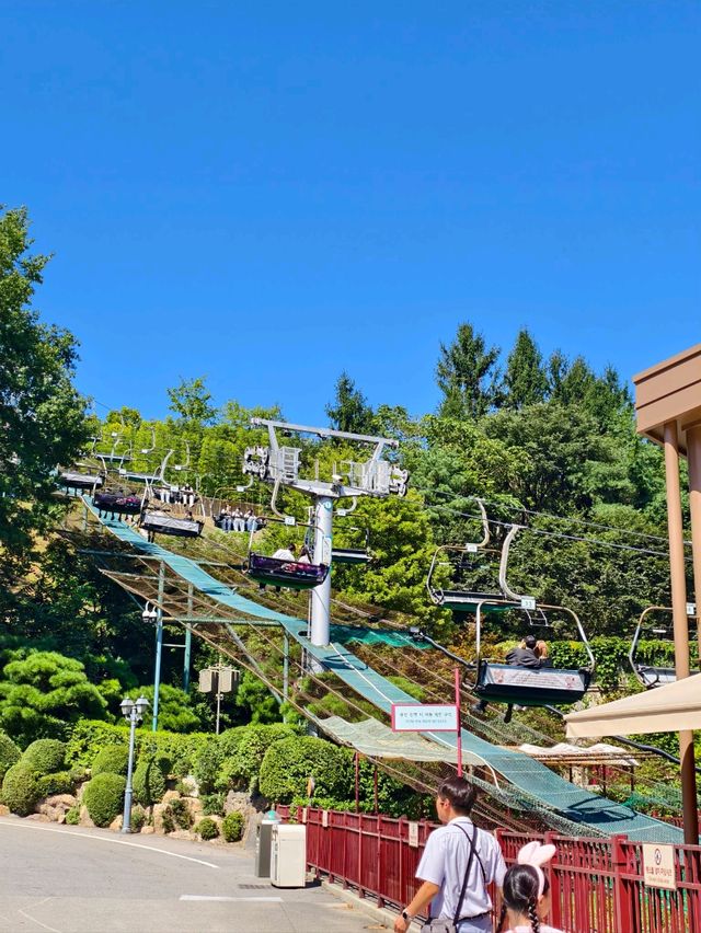 Woodland Thrills🎢