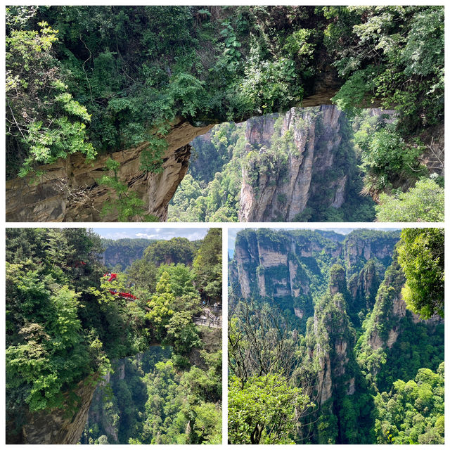 🏞️闖入潘多拉星球｜張家界山水全攻略