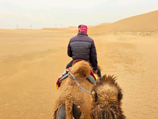 寧夏旅遊體驗🥳騰格里沙漠衝沙🏜騎駱駝🐫