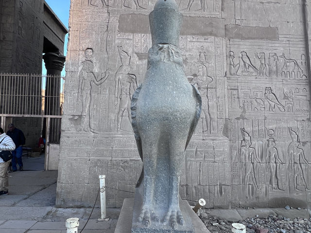 ［埃及旅遊］埃德夫神殿（Temple of Edfu）🦅法老的化身竟然有點可愛😍