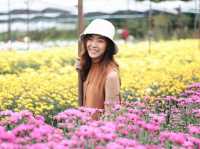 เที่ยวสวนดอกไม้บิ๊กเต้