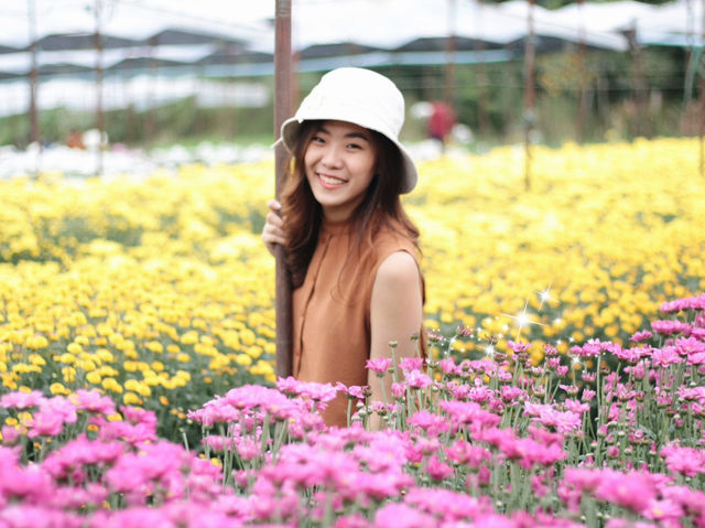 เที่ยวสวนดอกไม้บิ๊กเต้