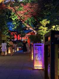 神奈川|夜遊江之島 江島神社夢幻點燈 像置身虛幻仙境