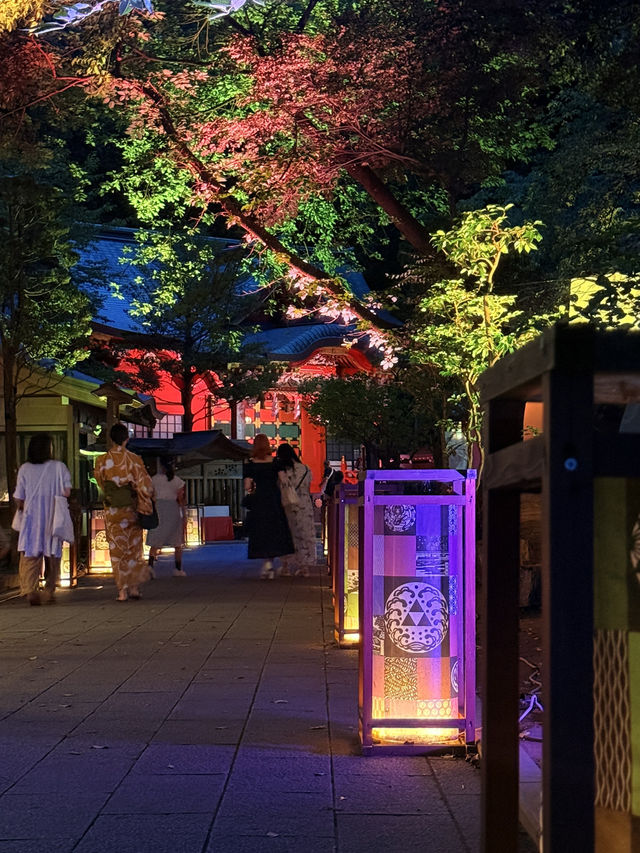 神奈川|夜遊江之島 江島神社夢幻點燈 像置身虛幻仙境 神奈川|夜遊江之島 江島神社夢幻點燈 像置身虛幻仙境