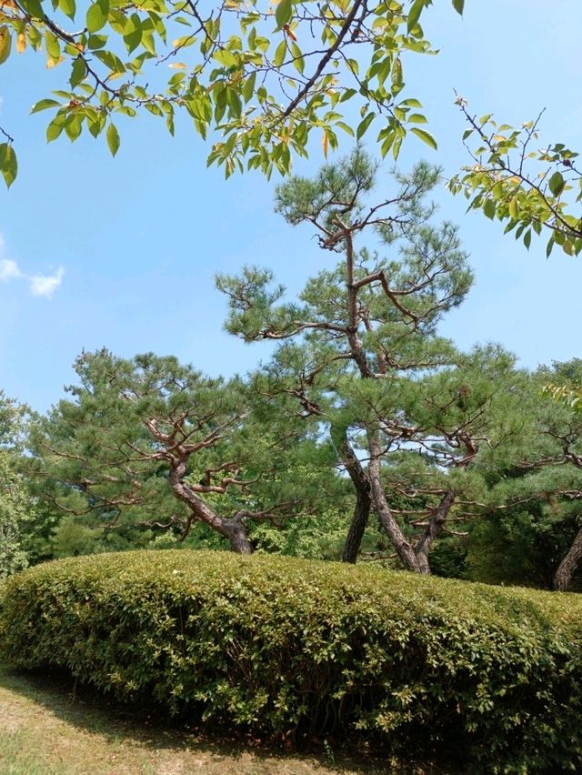 도심 속에서도 자연을 만끽할 수 있는 공간 도심 속에서도 자연을 만끽할 수 있는 공간