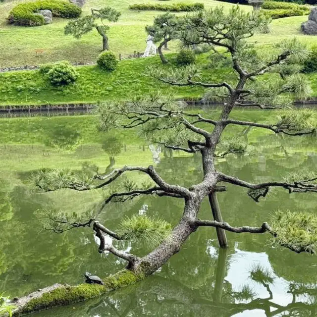 穿越東京歷史時空：江戶東京博物館