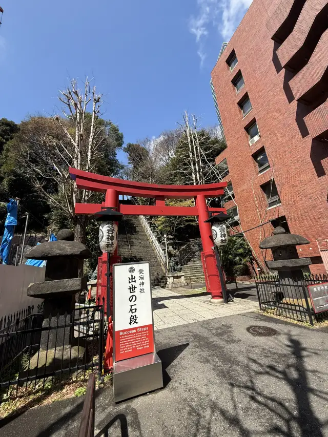 2025.03.28 櫻花季東京獨旅五天四夜行程 p6 第四天行程大公開(1.愛宕一帶)