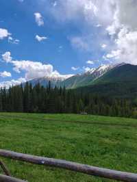 Legends Live Here: Altay