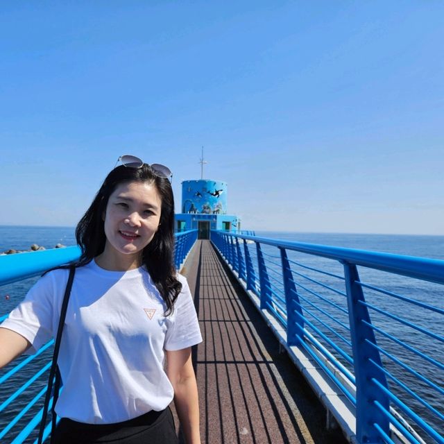 울릉도 2박3일~크루즈여행