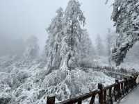 One Day Trip Chengdu to Wawu Shan 