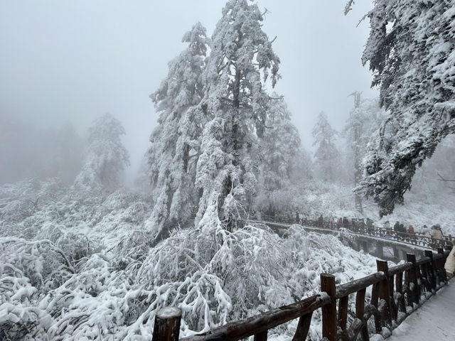 One Day Trip Chengdu to Wawu Shan 