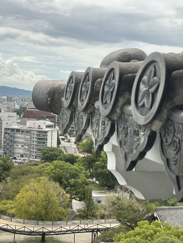 登上熊本城，感受歷史與堅韌留下的城市象徵