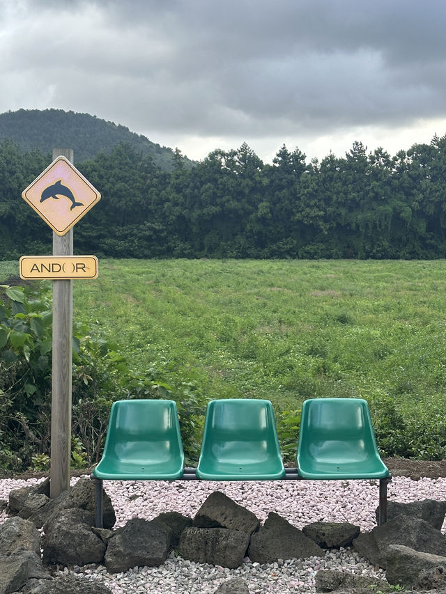 제주 숲 속 힐링카페 + 인생샷 포토존