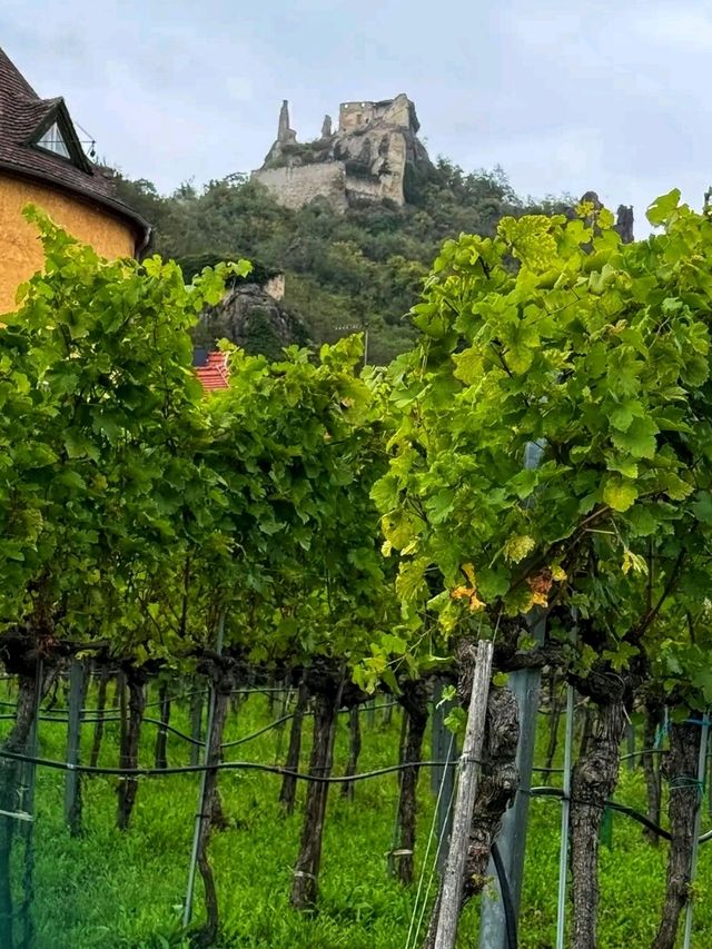 🍇 Wachau Valley – Austria’s Fairytale Along the Danube
