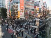 STARBUCKS SHIBUYA — The Best View of the World’s Busiest Crossing