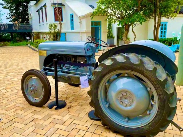 The Pokfulam Farm – Where Heritage Meets Nature