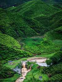 Cameron Highlands